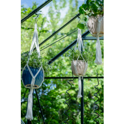 HALLS szklarnia ogrodowa ICON PLANTHOUSE 6 (7,3 m2; 1,93 x 3,79 m) czarna, szkło hartowane + baza